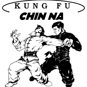 Chin Na Kung Fu 1st Degree Black Sash Course