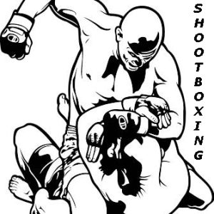 American Shootboxing 2nd Degree Black Belt Course