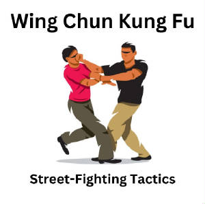 Wing Chun Street-Fighting Tactics 1st Degree Black Sash Course