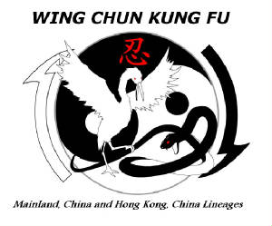Wing Chun Kung Fu 3rd Degree Test Black Sash-Instructor Course